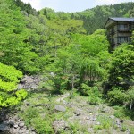 takizawa0114