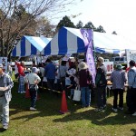 imoni03